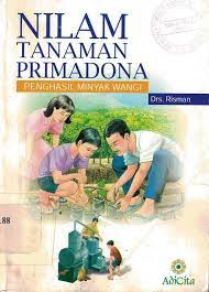 Cover Nilam Tanaman Primadona Penghasil Minyak Wangi / Risman