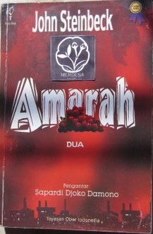 Cover Amarah 2 / Steinbeck john