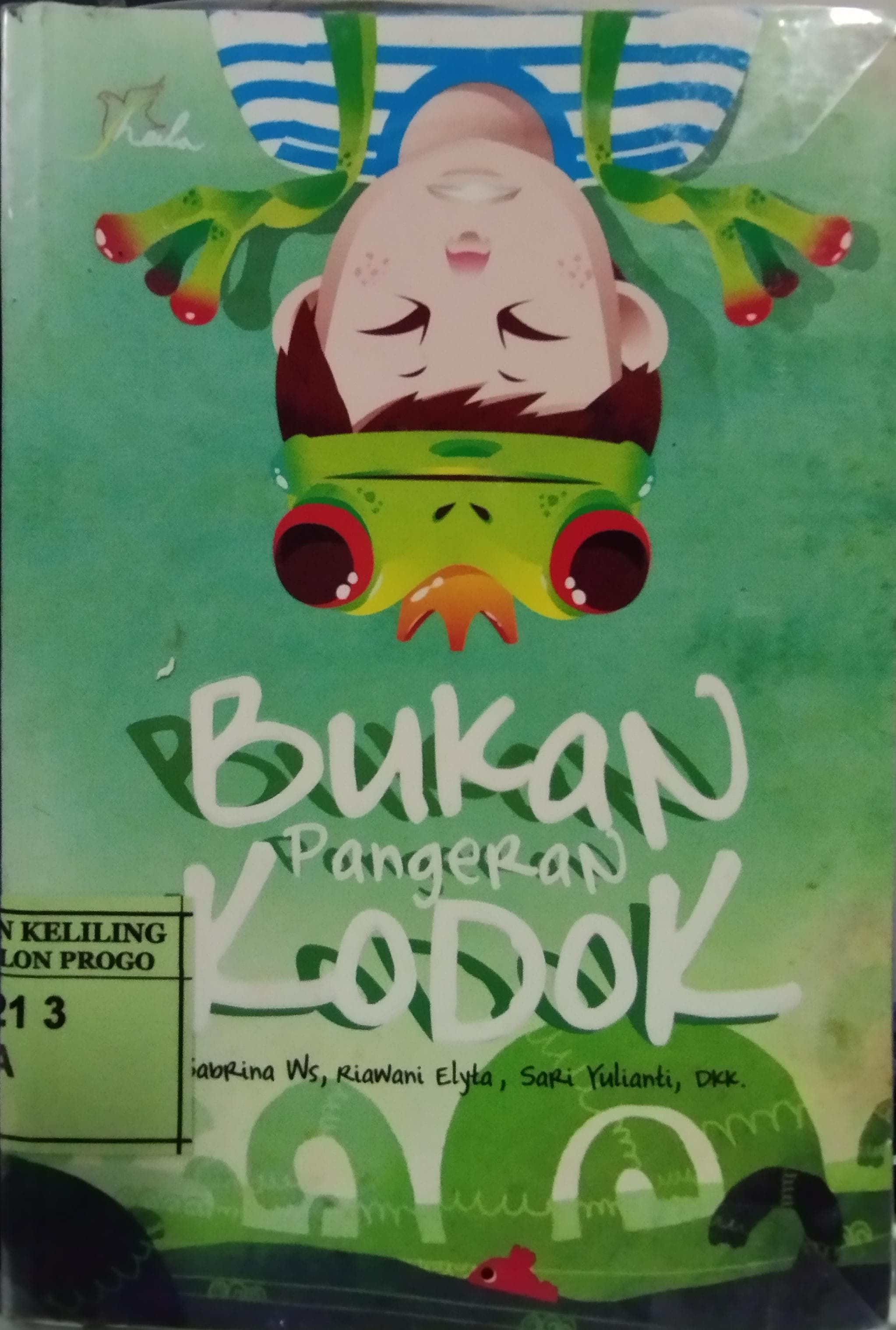 Cover Bukan Pangeran Kodok / Shabrina WS