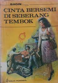 Cover Cinta Bersemi di seberang Tembok / Bagin