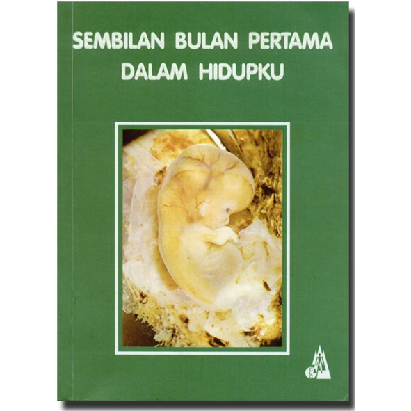 Cover Sembilan bulan pertama dalam hidupku / G.L. Flanagan