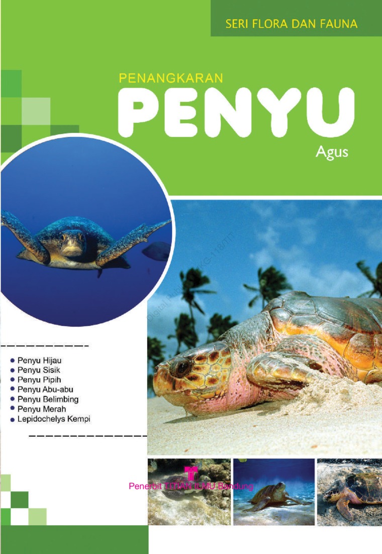 Cover Pengkaran Penyu :  Seri Flora dan Fauna / Agus