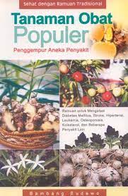 Cover Tanaman obat populer penggempur aneka penyakit / Bambang Sadewo