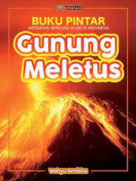 Cover Gunung meletus / Wahyu Annisha