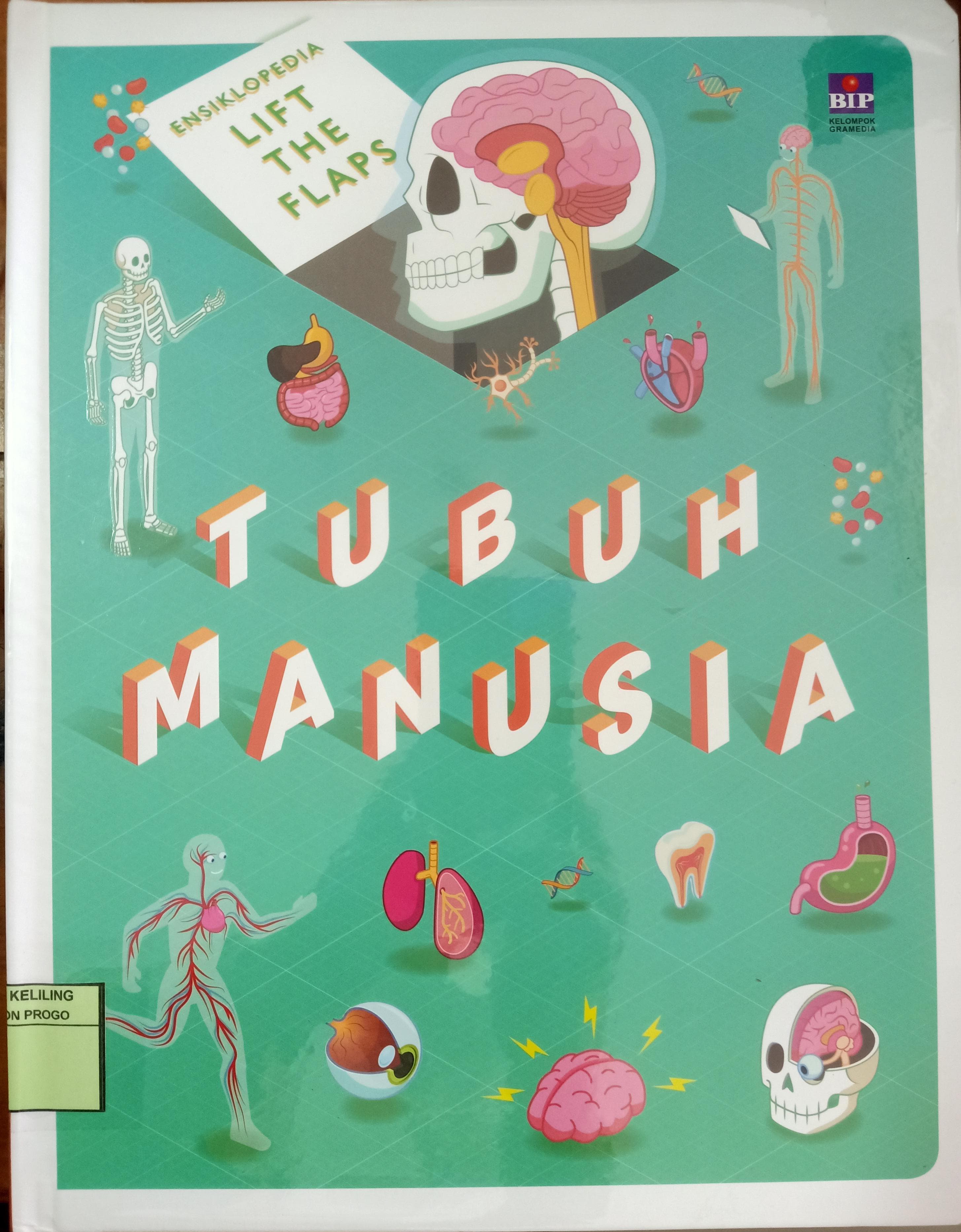 Cover Discovery lift the flaps tubuh manusia / Willow, Marnie: Pengalih bahasa, Marcalais Fransisca: Editor, Agnes Vidita