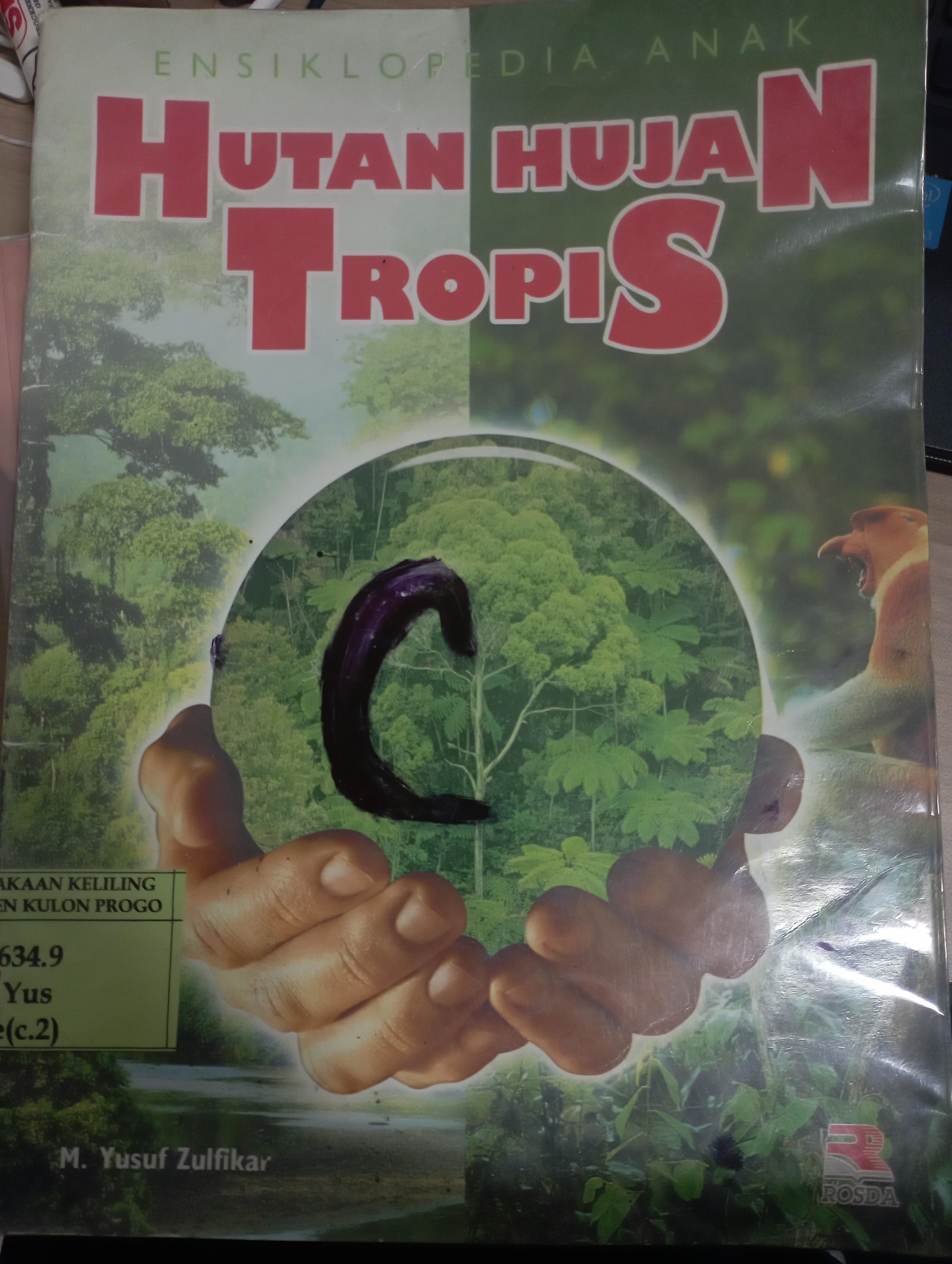 Cover Hutan Hujan Tropis / Yusuf Zulfikar