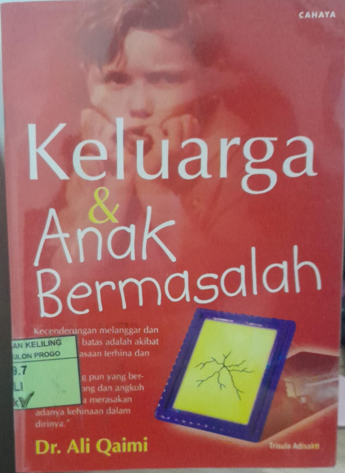 Cover Keluarga dan Anak Bermasalah / Ali Qaimi
