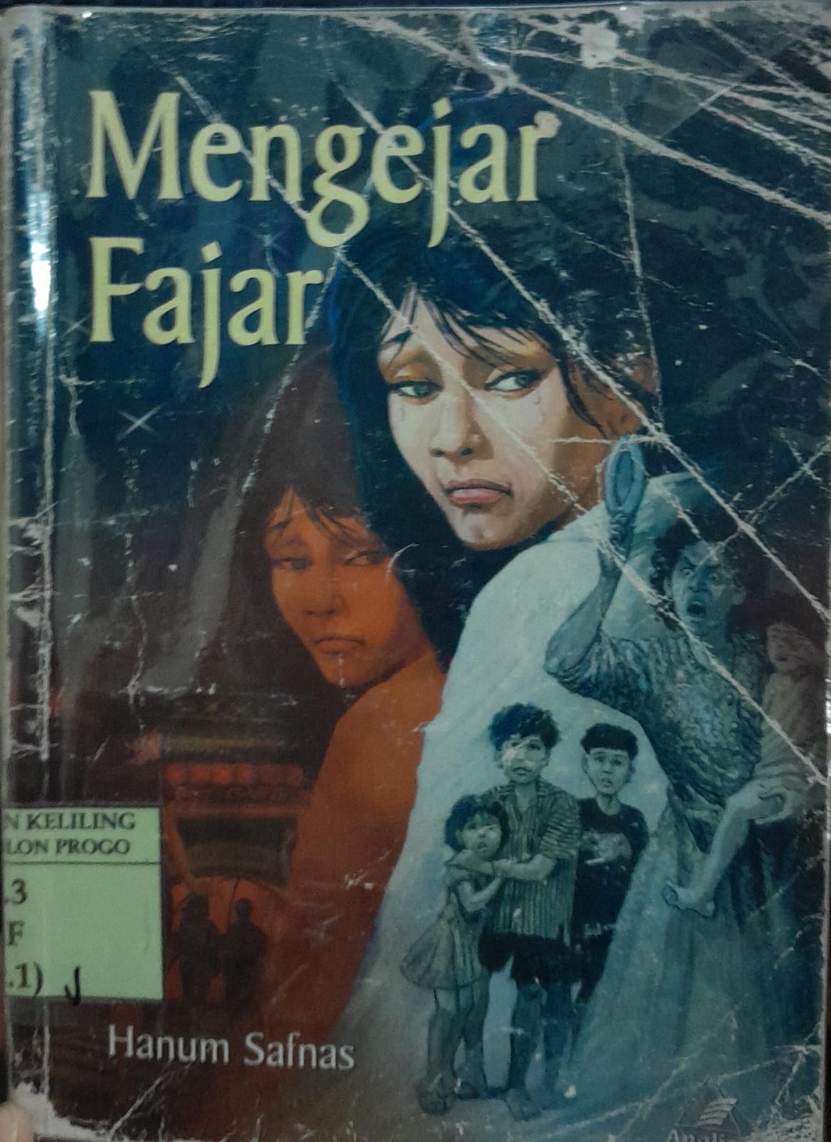 Cover Mengejar Fajar / Safnas