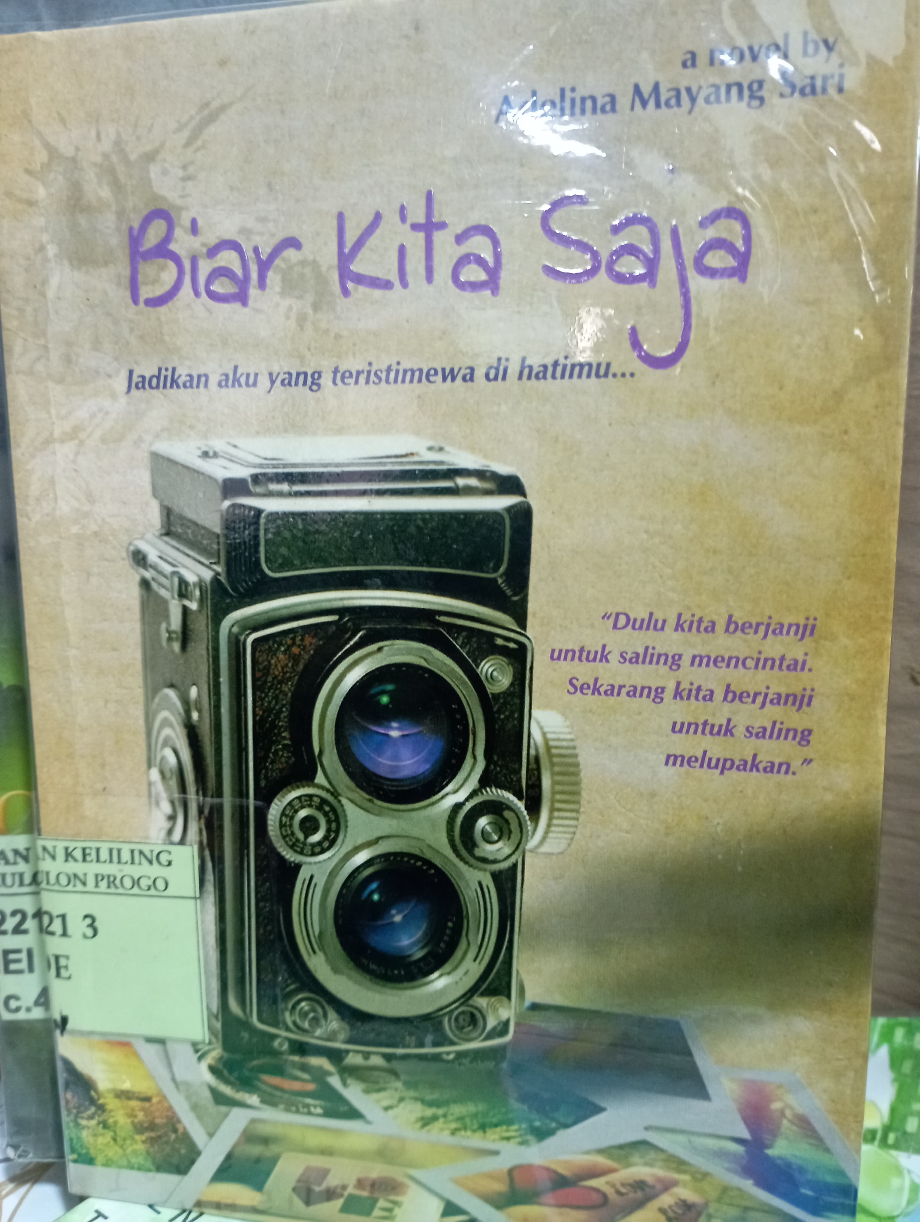 Cover Biar Kita Saja / Adelina Mayang Sari