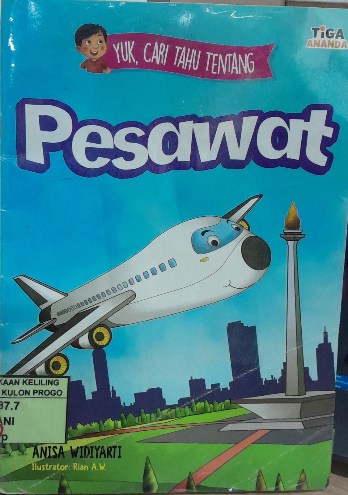 Cover Pesawat / Anisa Widiyarti