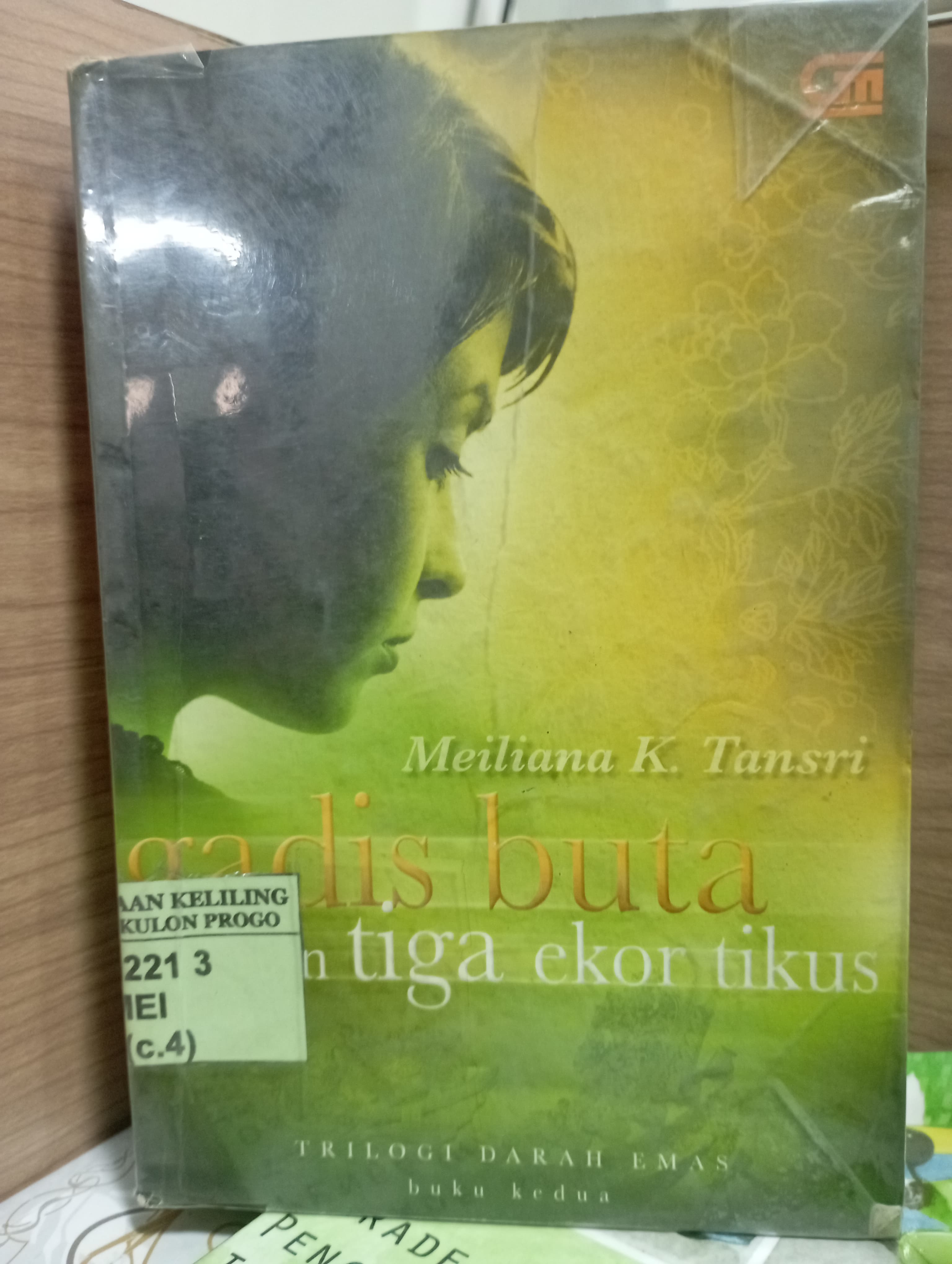 Cover Gadis Buta dan Tiga Ekor Tikus / Meiliana K. Tansri
