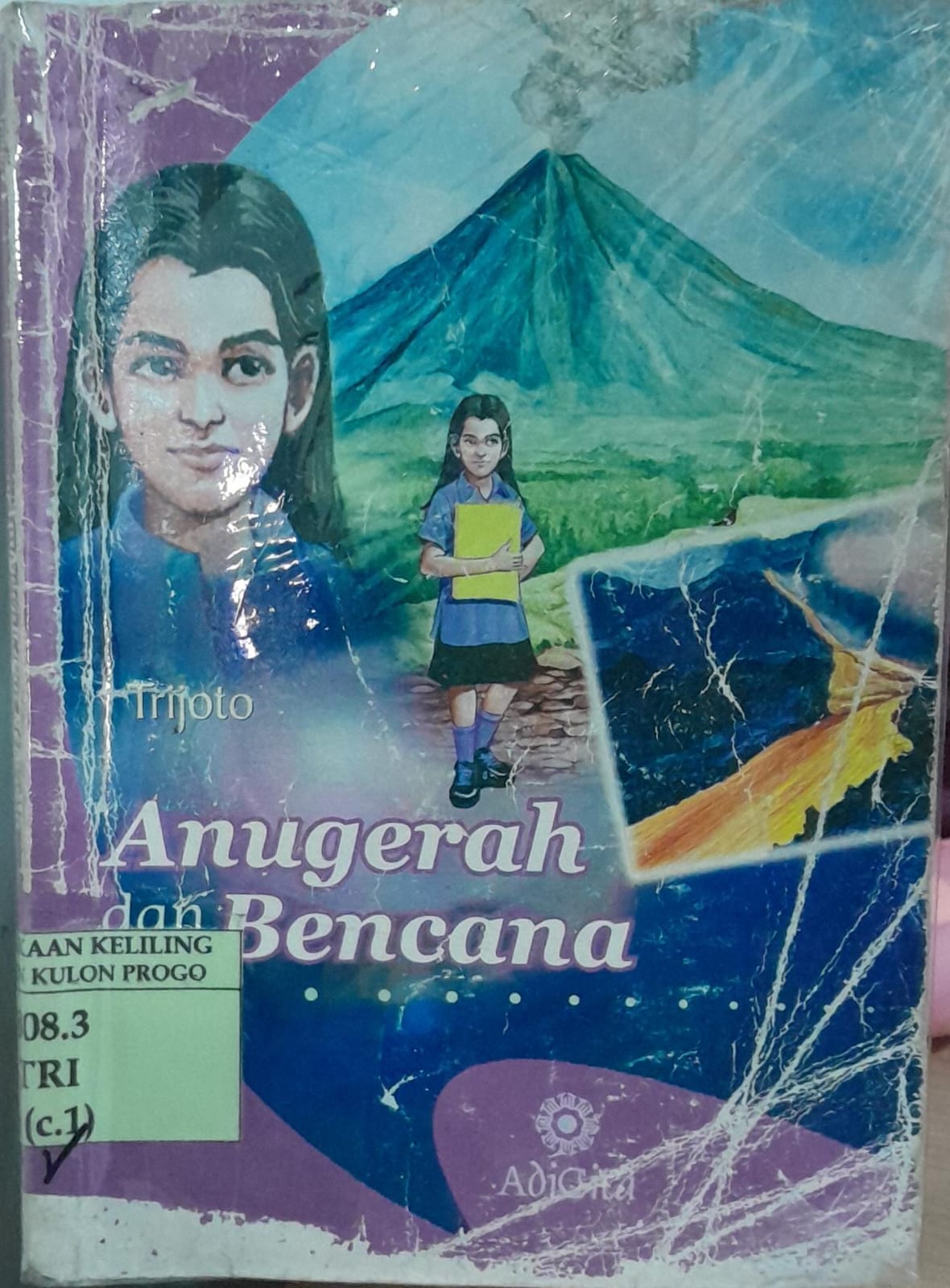 Cover Anugerah dan Bencana / Trijoto