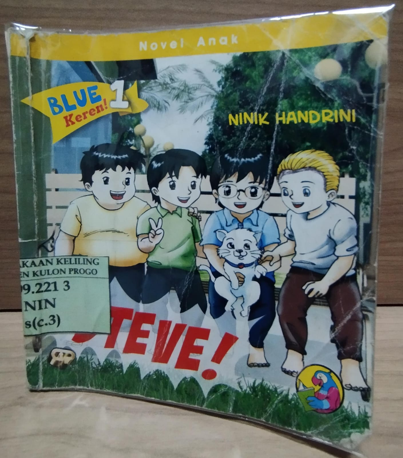 Cover Steve! / Ninik Handrini