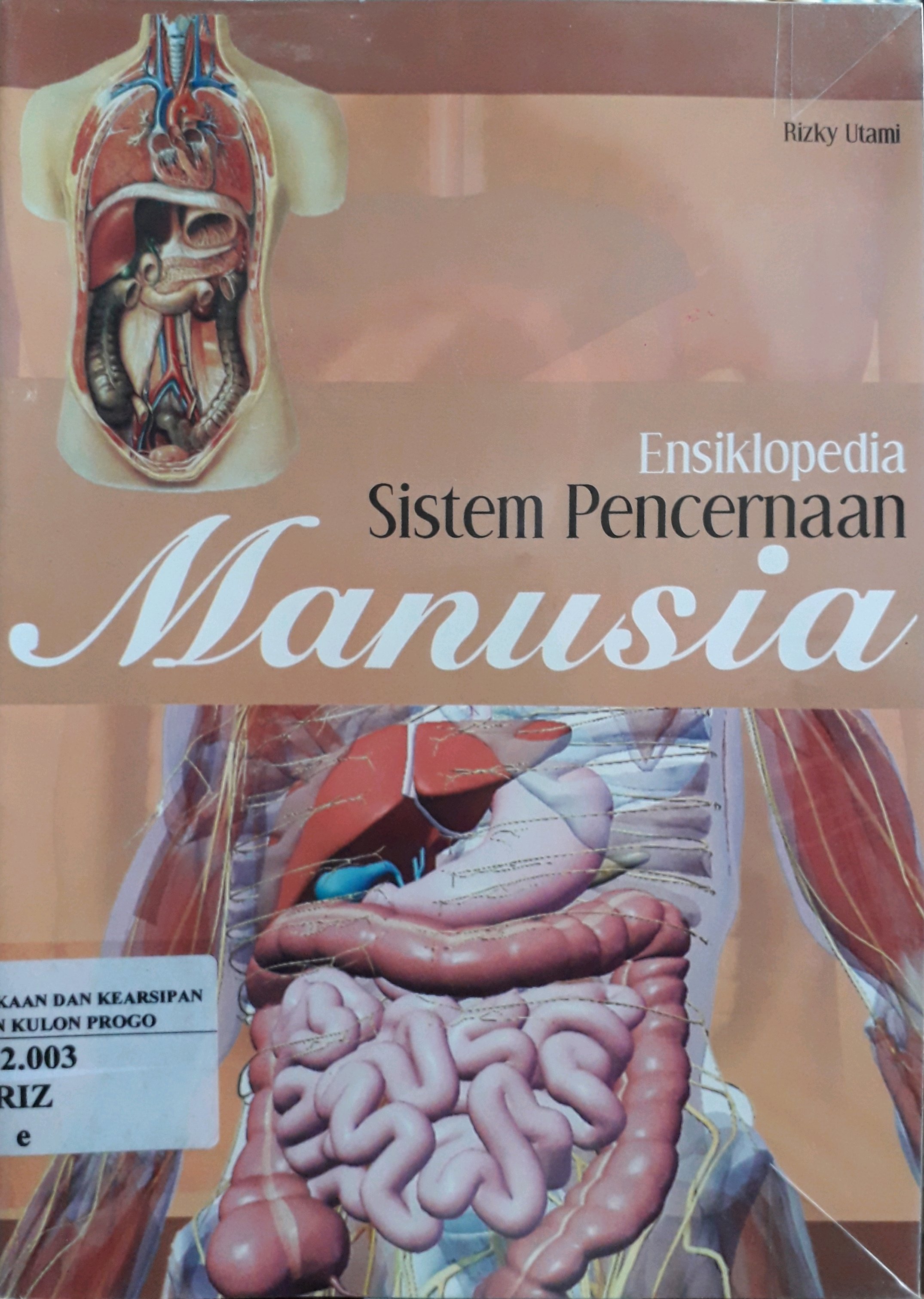 Cover Ensiklopedia Sistem Pencernaan Manusia / Penulis, Rizky Utami