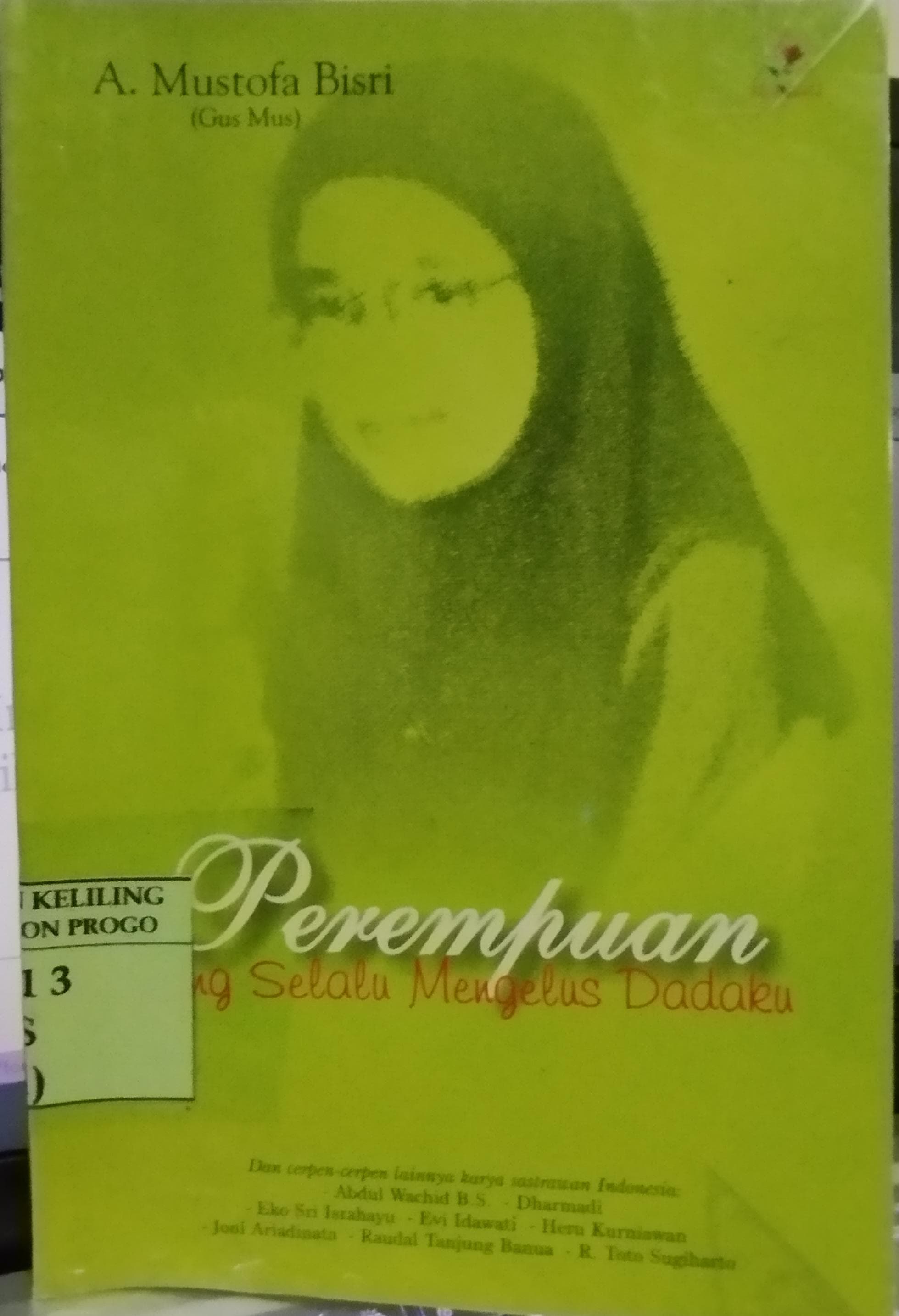 Cover Perempuan Yang Selalu Mengelus Dada / Mustofa Bisri