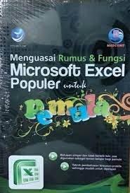 Cover Rumus dan fungsi excel (2007,2010,2013) untuk pemula