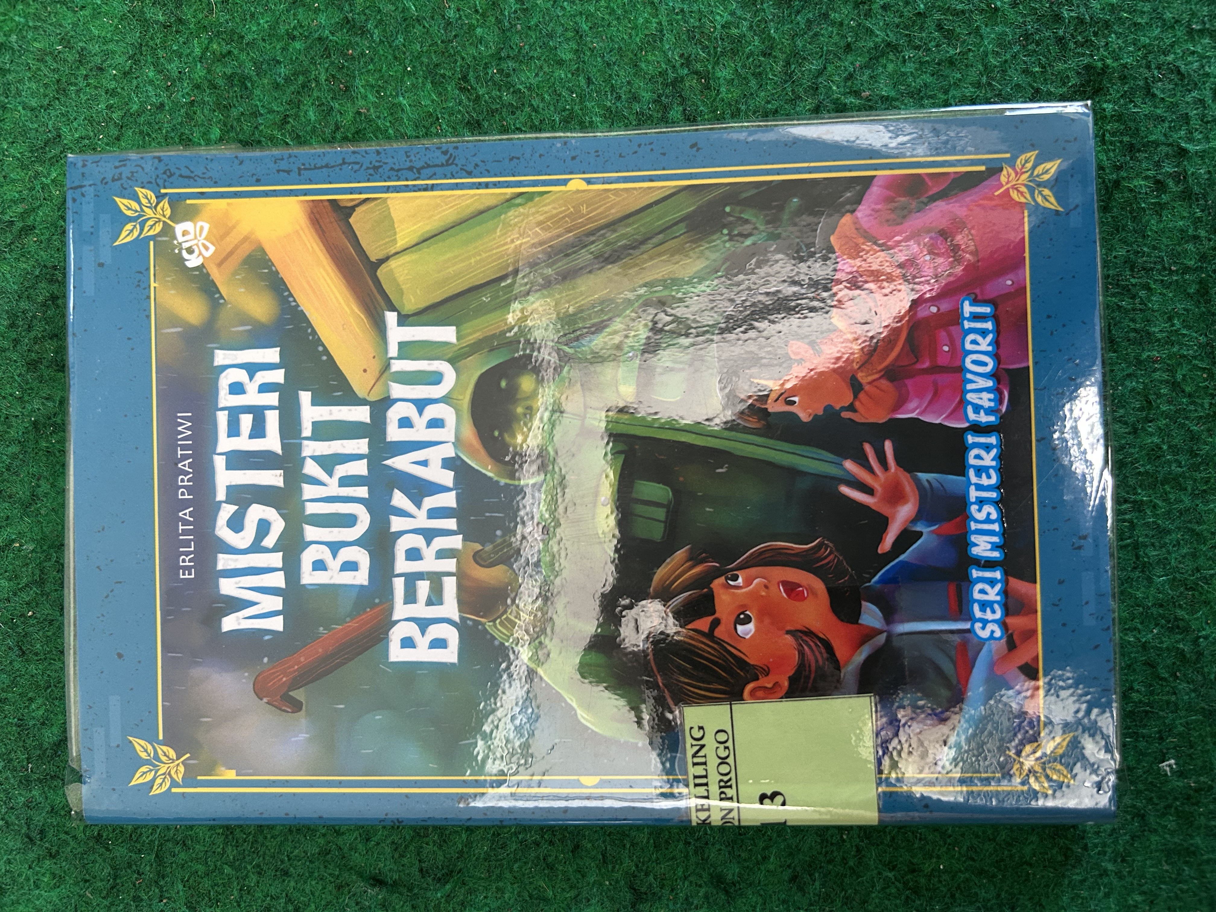 Cover Misteri Bukit Berkabut / Erlita Pratiwi