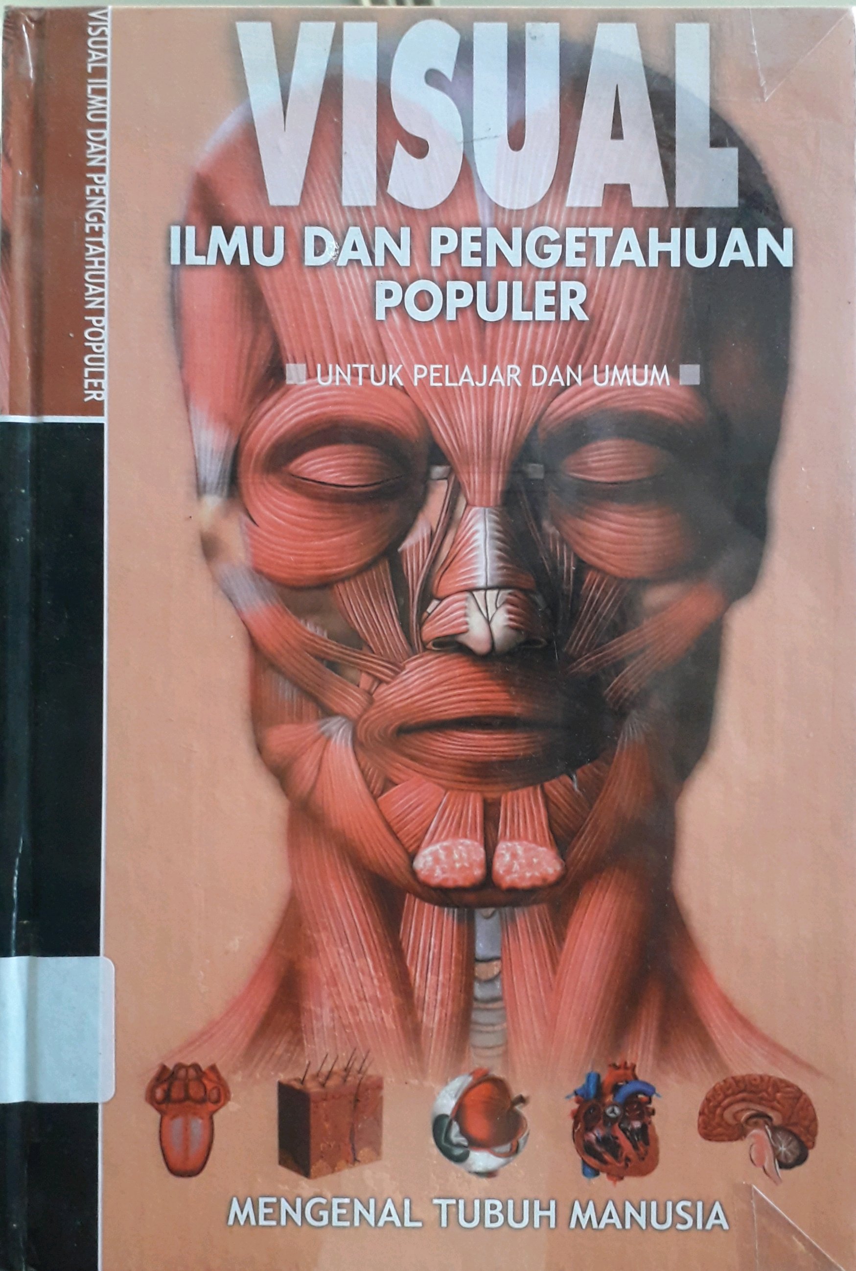 Cover Visual Ilmu dan Pengetahuan populer untuk pelajar dan umum : Mengenal Tubuh Manusia
