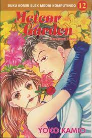 Cover Meteor Garden 12 / Kamio Yoko