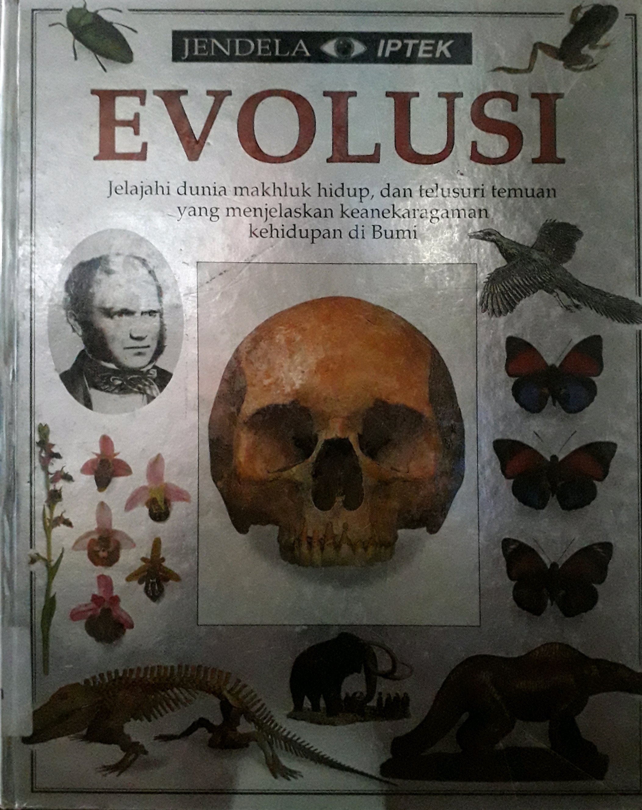 Cover Jendela iptek : evolusi / Penulis, Linda Gamlin, Penerjemah, Zamira Lubis