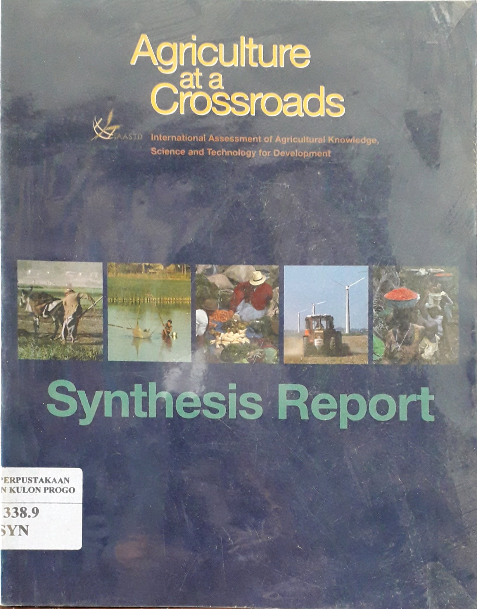 Cover Synthesis Report A Synthesis Of The Global And Sub-Global Iaastd Reports
