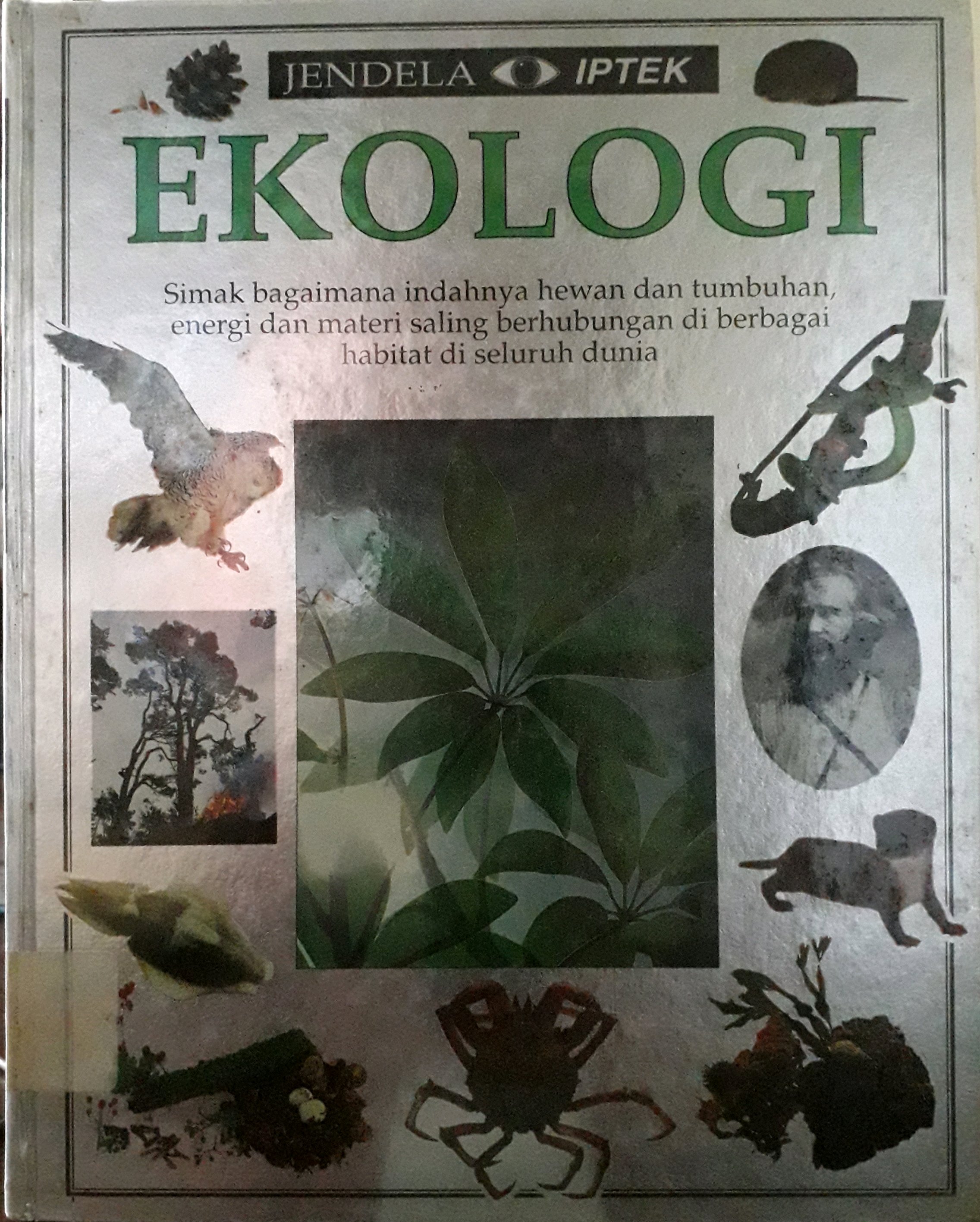 Cover Jendela iptek : ekologi / Penulis, Steve Pollock, Penerjemah, Ari Anggari Harapan
