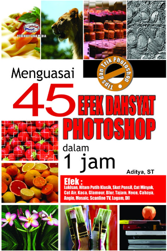 Cover Menguasai 45 Efek Dahsyat Photoshop dalam 1 jam / Aditya