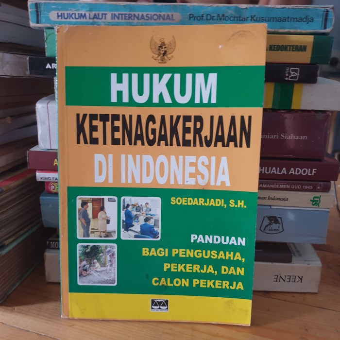 Cover Hukum ketenagakerjaan di Indonesia :  panduan bagi pengusaha, pekerja, dan calon pekerja / Penulis, Soedarjadi