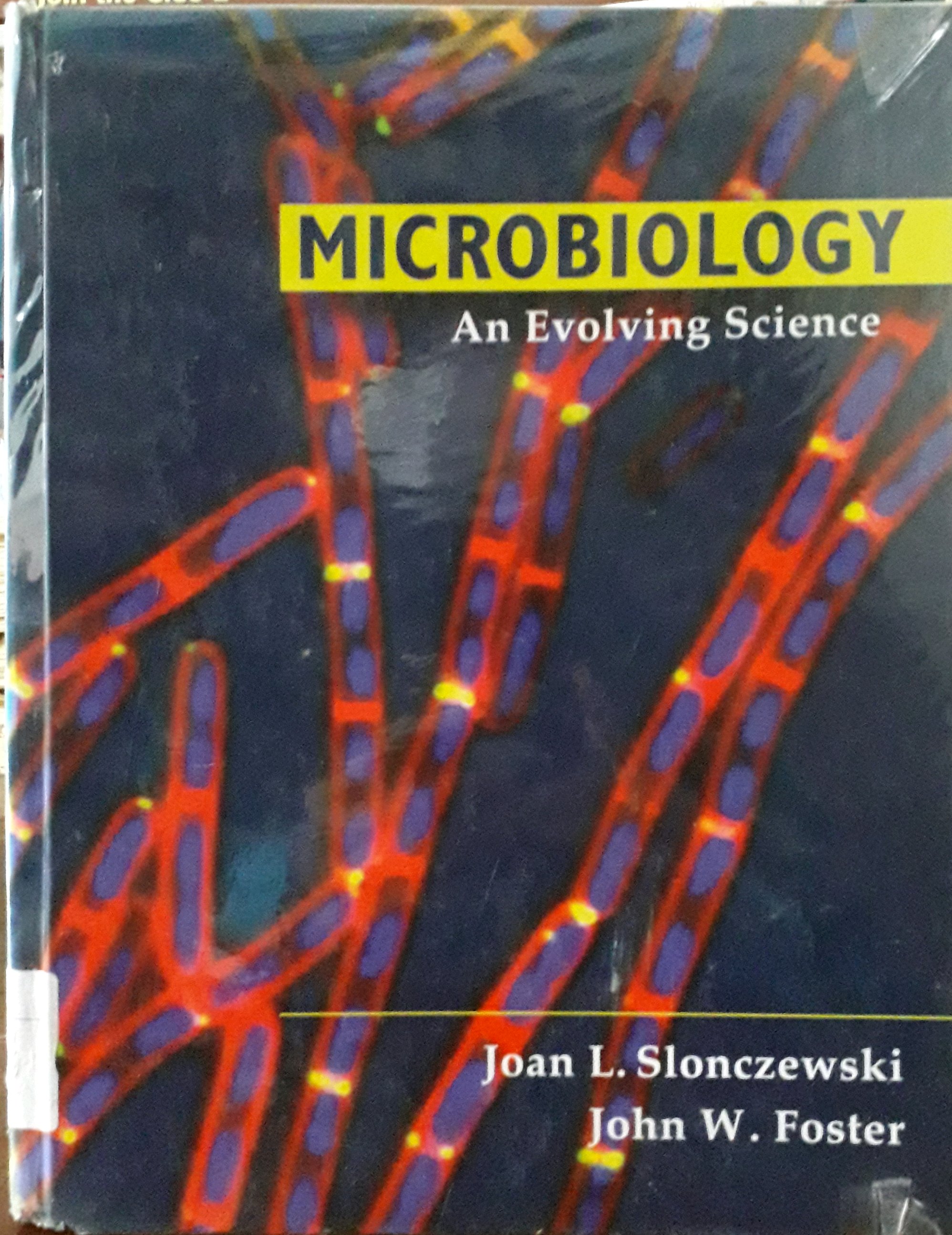 Cover Microbiology An Evolving Science / Penulis, Joan L. Slonczewski